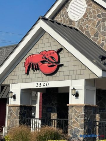 Completed Projects - Commercial | AquaLifeUSA